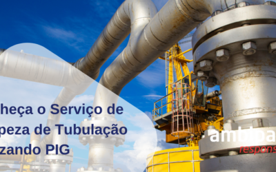 Conheça o Serviço de Limpeza de Tubulação Utilizando PIG